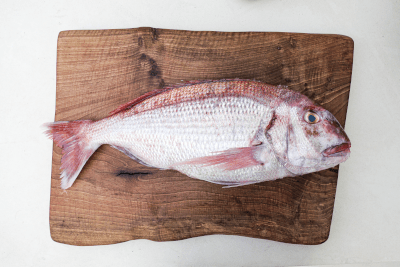 pescado como producto paco perez miramar