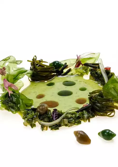 Plato Mar D'algues del Restaurant Miramar de Llançà